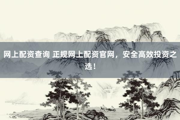 网上配资查询 正规网上配资官网，安全高效投资之选！