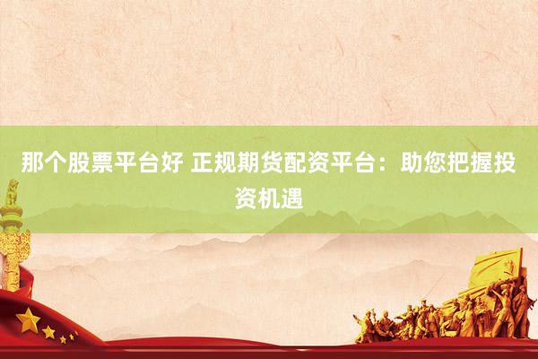 那个股票平台好 正规期货配资平台：助您把握投资机遇
