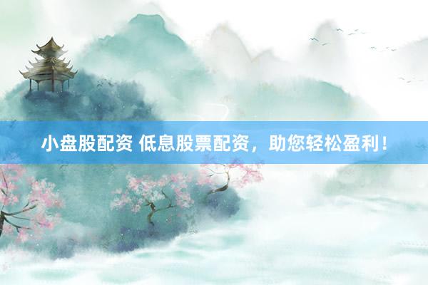 小盘股配资 低息股票配资，助您轻松盈利！