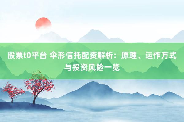 股票t0平台 伞形信托配资解析：原理、运作方式与投资风险一览