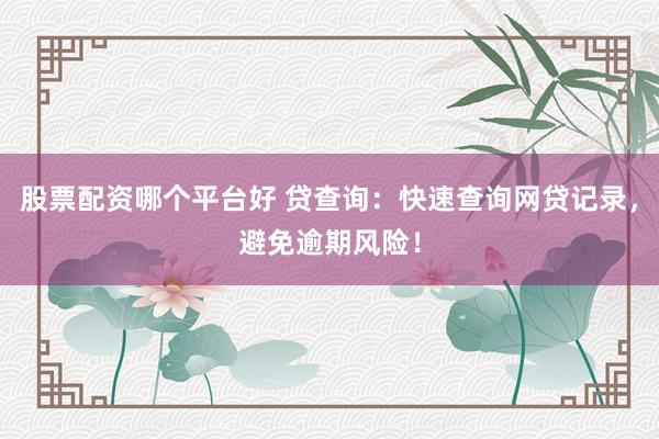 股票配资哪个平台好 贷查询：快速查询网贷记录，避免逾期风险！