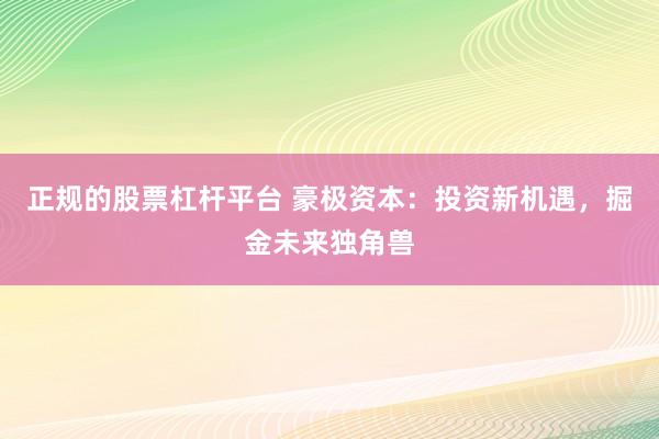 正规的股票杠杆平台 豪极资本：投资新机遇，掘金未来独角兽