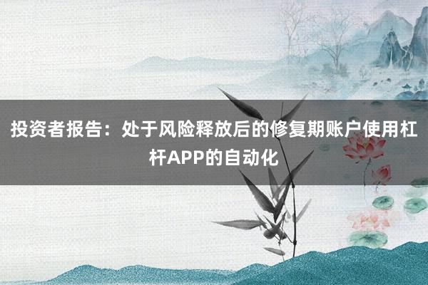 投资者报告：处于风险释放后的修复期账户使用杠杆APP的自动化