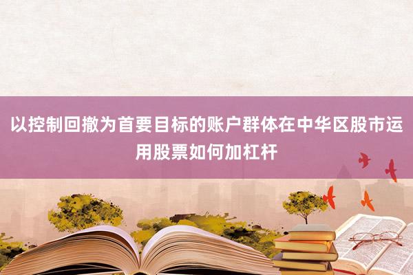 以控制回撤为首要目标的账户群体在中华区股市运用股票如何加杠杆