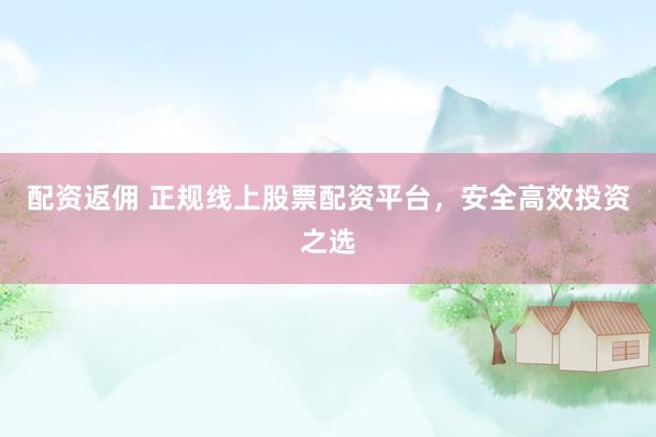 配资返佣 正规线上股票配资平台，安全高效投资之选