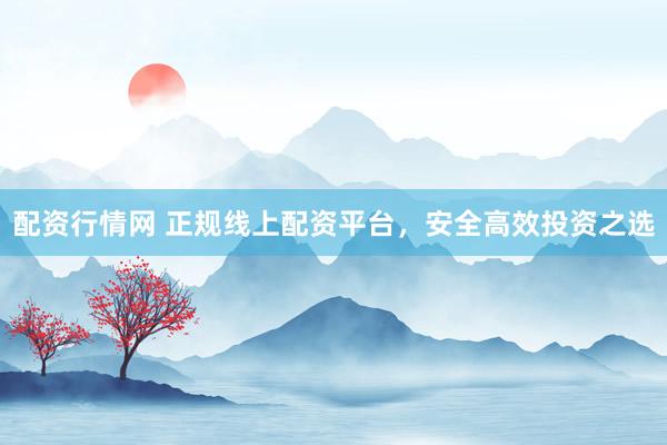 配资行情网 正规线上配资平台，安全高效投资之选