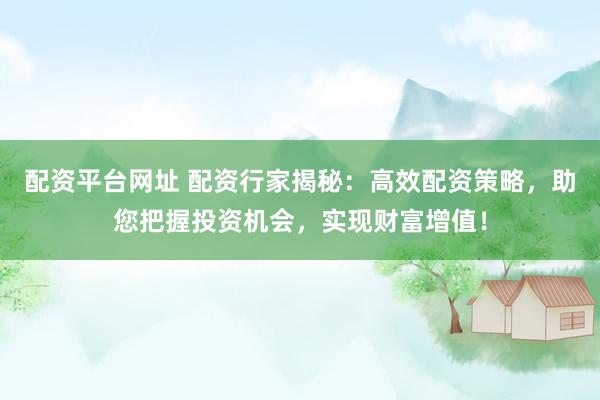 配资平台网址 配资行家揭秘：高效配资策略，助您把握投资机会，实现财富增值！